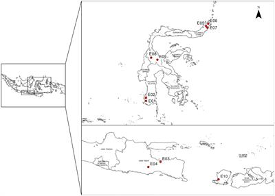 A comparative study on single and multiple trait selections of equatorial grown maize hybrids
